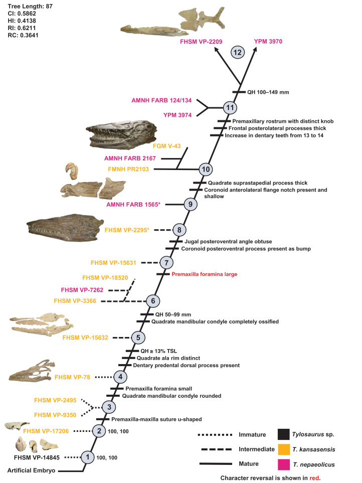 Figure 13