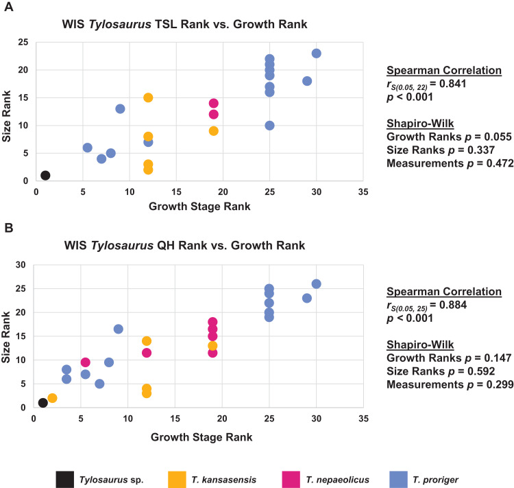 Figure 19