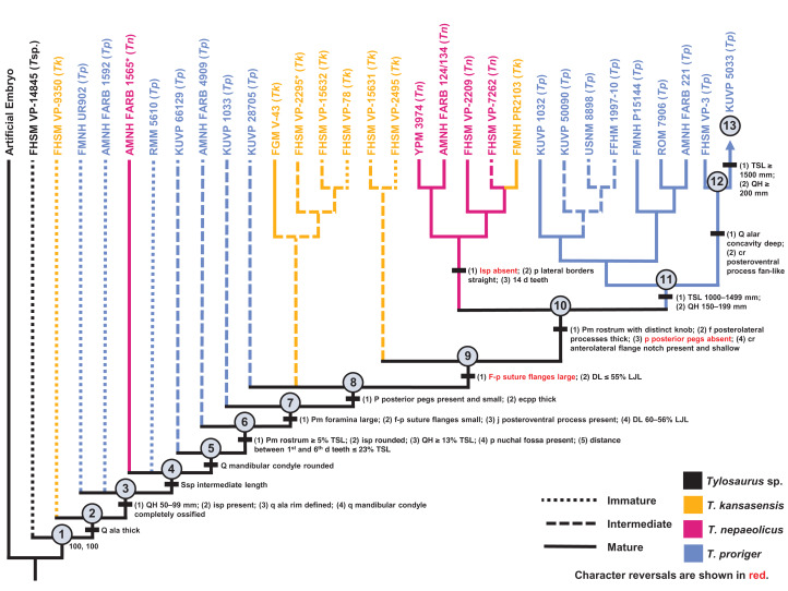 Figure 14