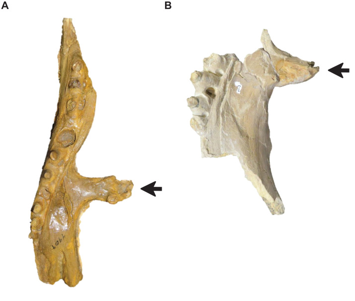 Figure 15