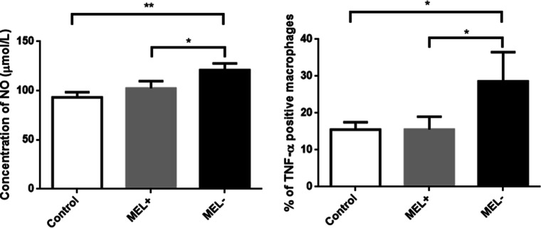 Fig. 11