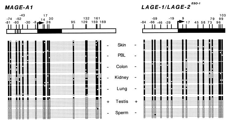 FIG. 8