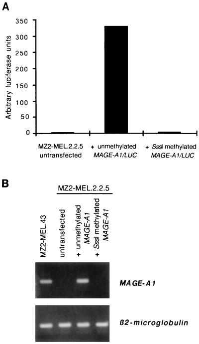 FIG. 6