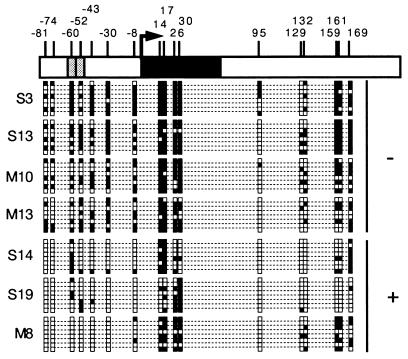 FIG. 5