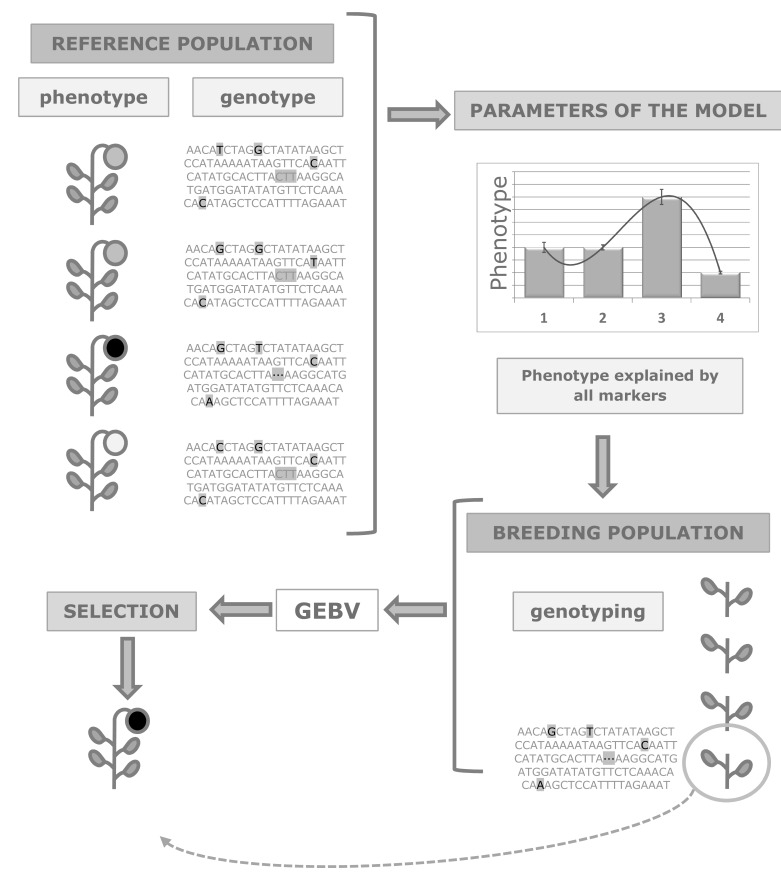 Fig. (1)