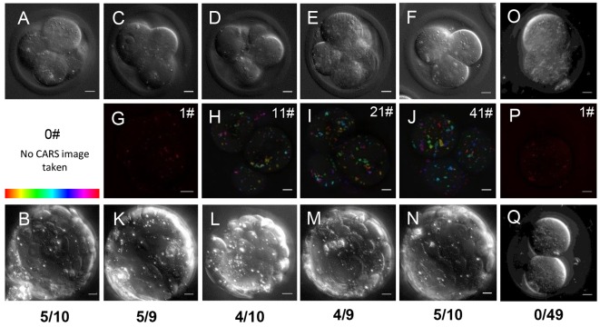 Fig. 4.