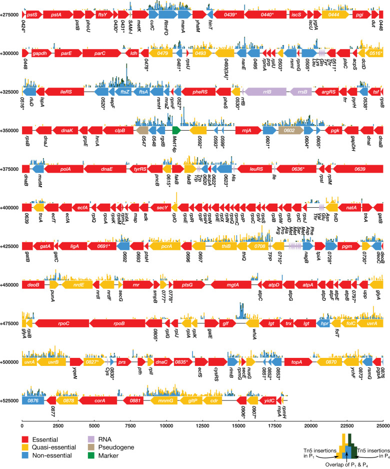 Figure 2—figure supplement 2.