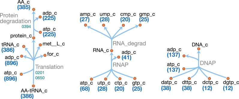 Figure 11.