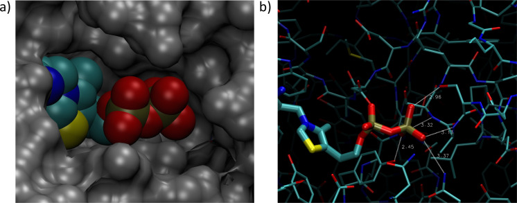 Appendix 1—figure 1.