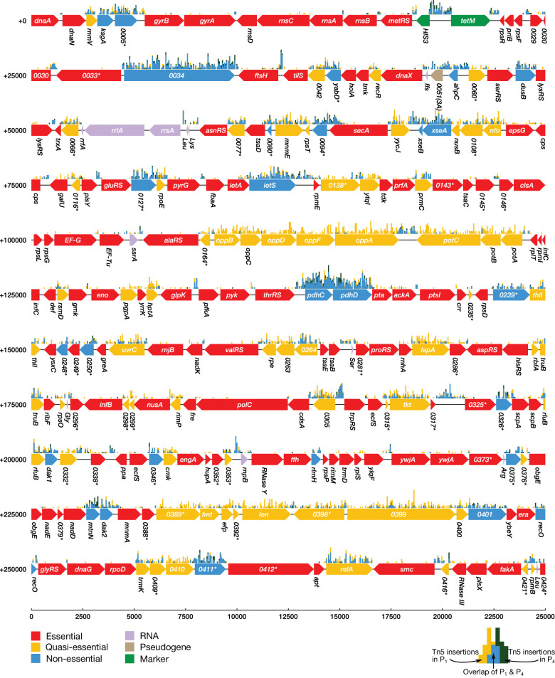 Figure 2—figure supplement 1.