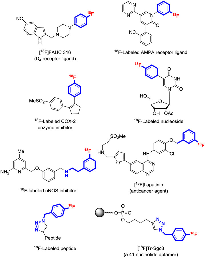 FIGURE 18