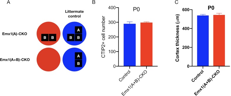 Figure 1—figure supplement 2.