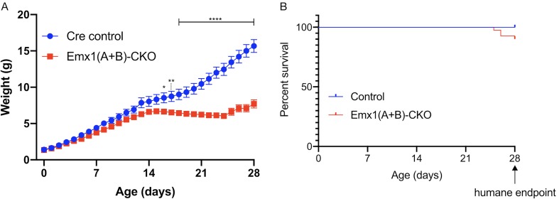 Figure 1—figure supplement 5.