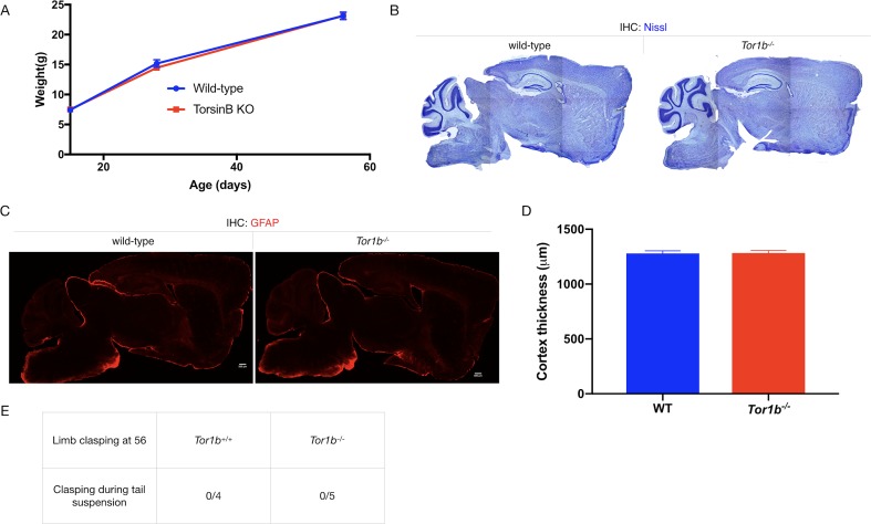 Figure 1—figure supplement 1.