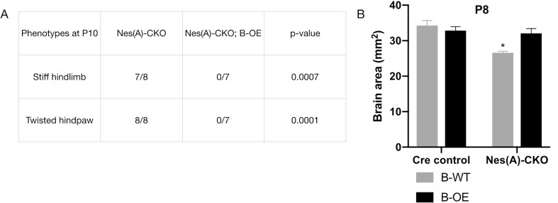 Figure 3—figure supplement 3.