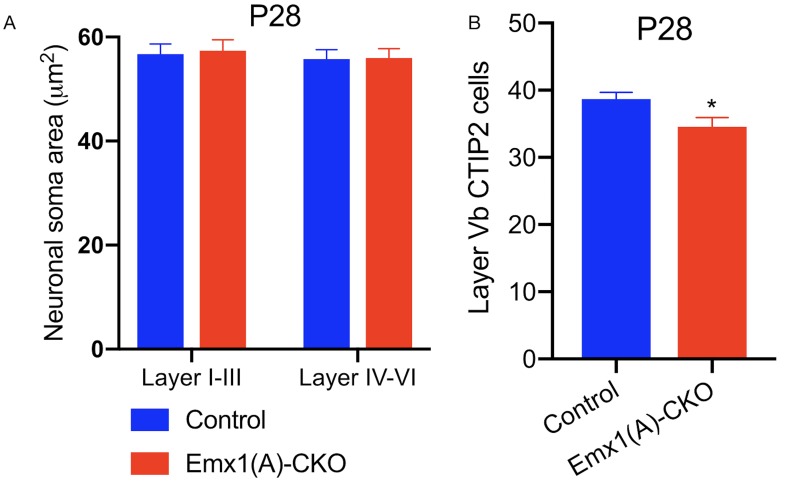 Figure 1—figure supplement 4.