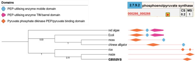 Figure 10