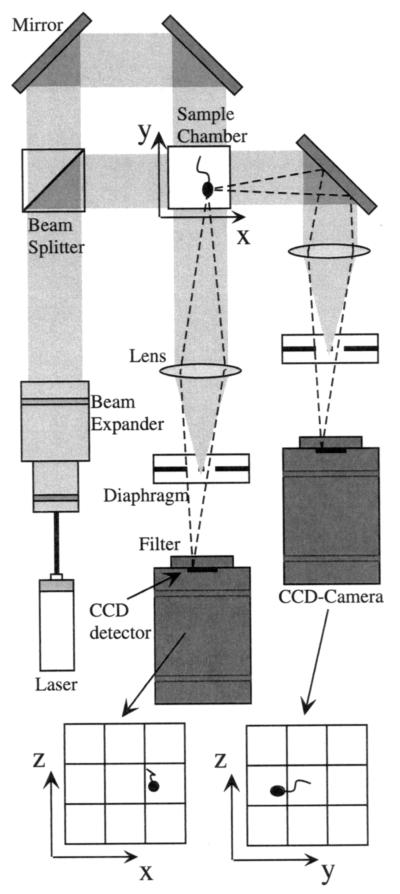 FIG. 1