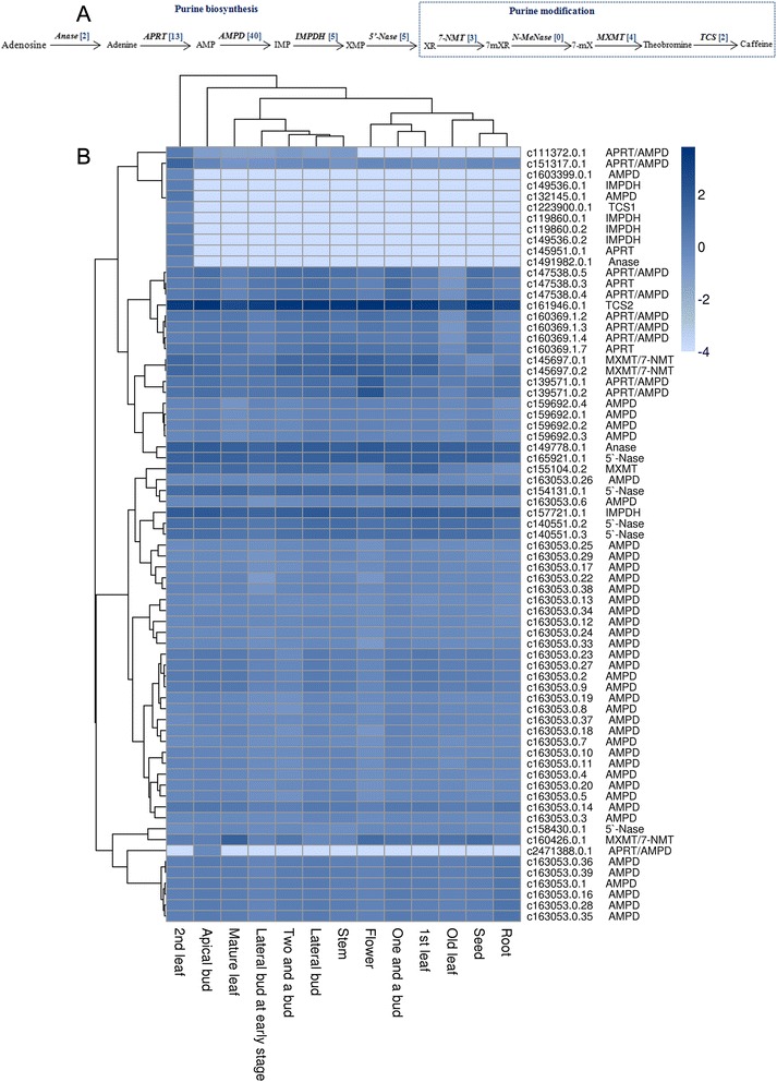 Fig. 7