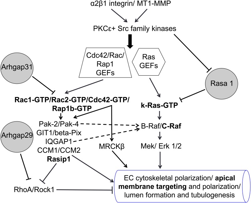 Fig 8