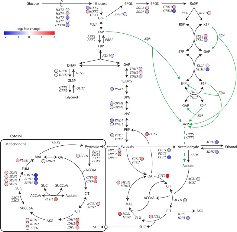 Fig. 4