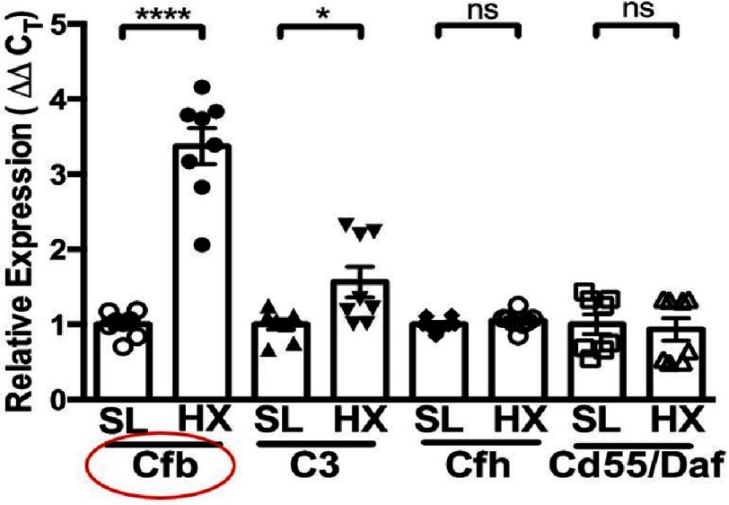 Figure 5.