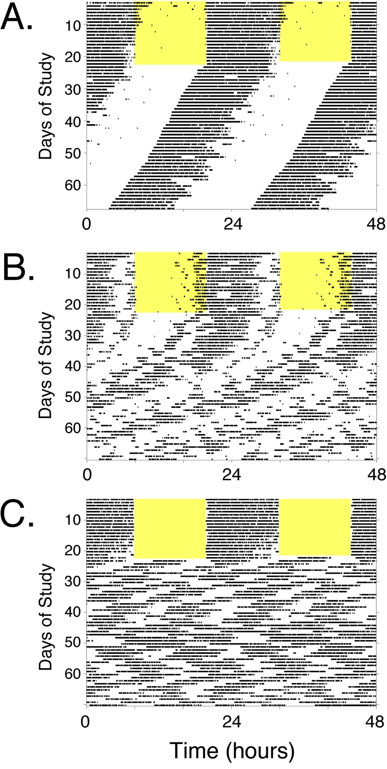 Figure 2.