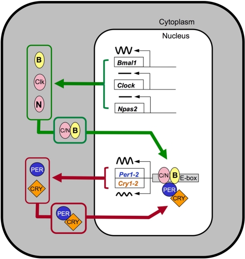 Figure 1.