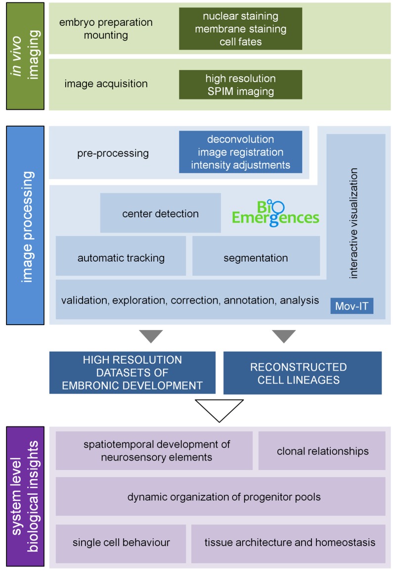 Figure 1—figure supplement 1.