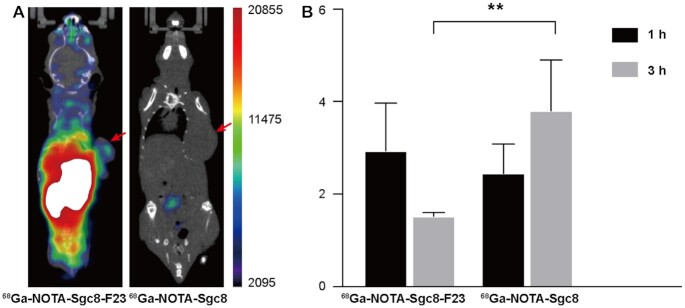 Figure 6.