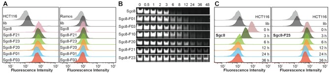 Figure 2.