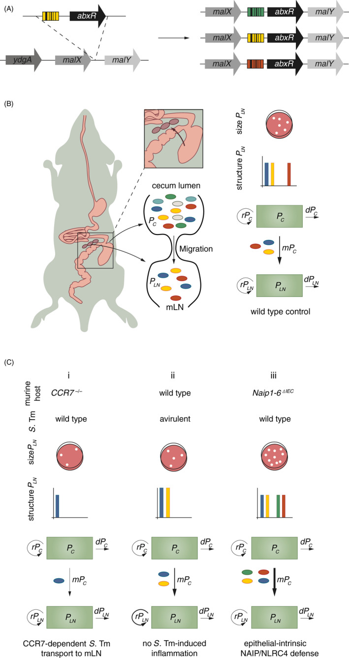 Figure 2