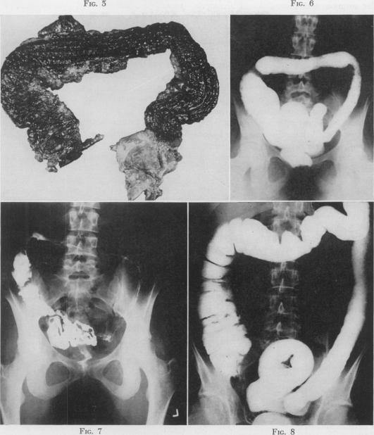 Fig. 5., Fig. 6., Fig. 7., Fig. 8.