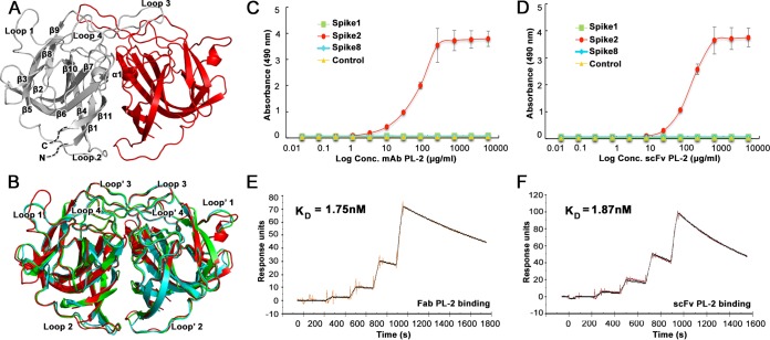 FIG 1