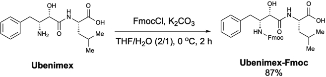 Scheme 8