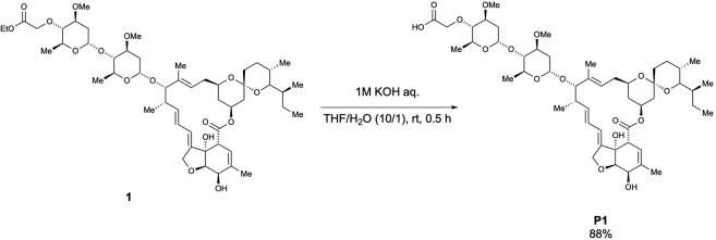 Scheme 2