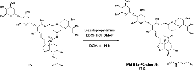 Scheme 7