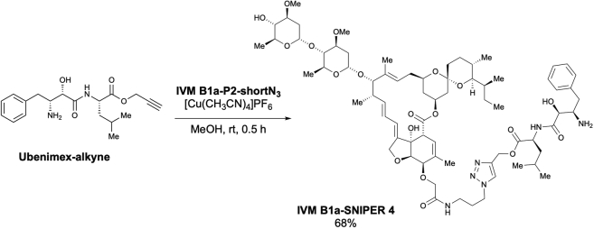 Scheme 14