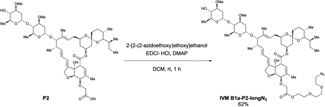 Scheme 6