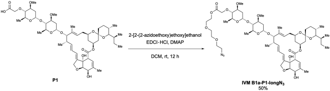 Scheme 4