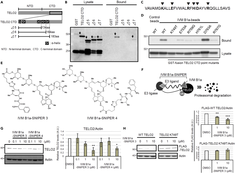 Figure 4