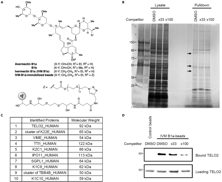 Figure 2