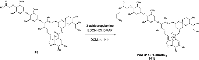 Scheme 5