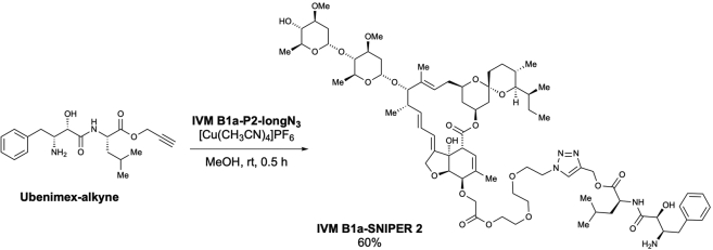 Scheme 12