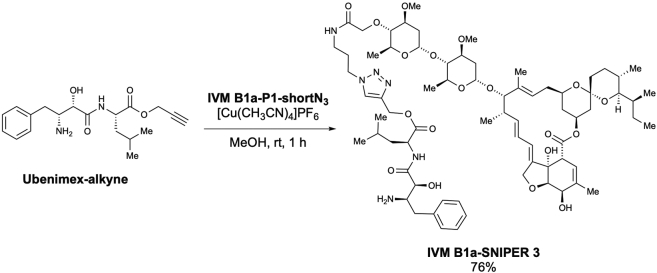 Scheme 13