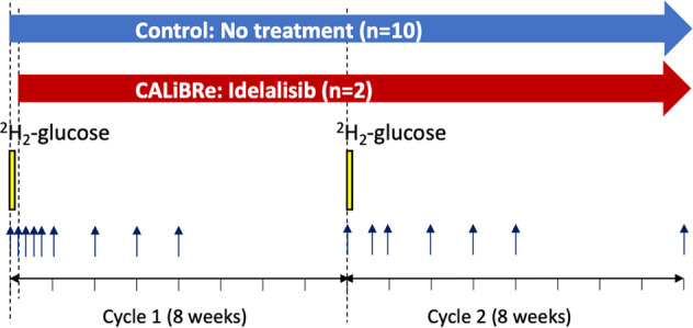 Fig. 2