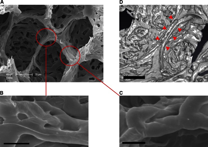 Fig. 7