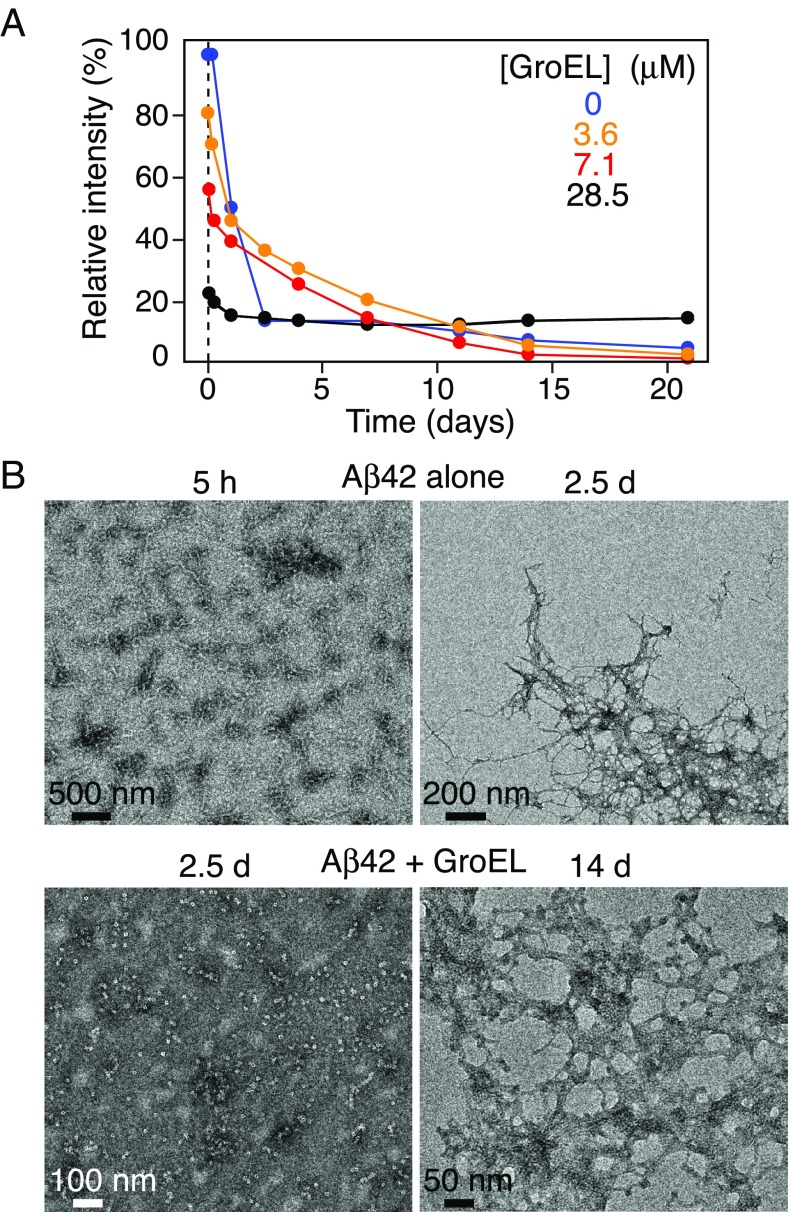 Fig. 8.