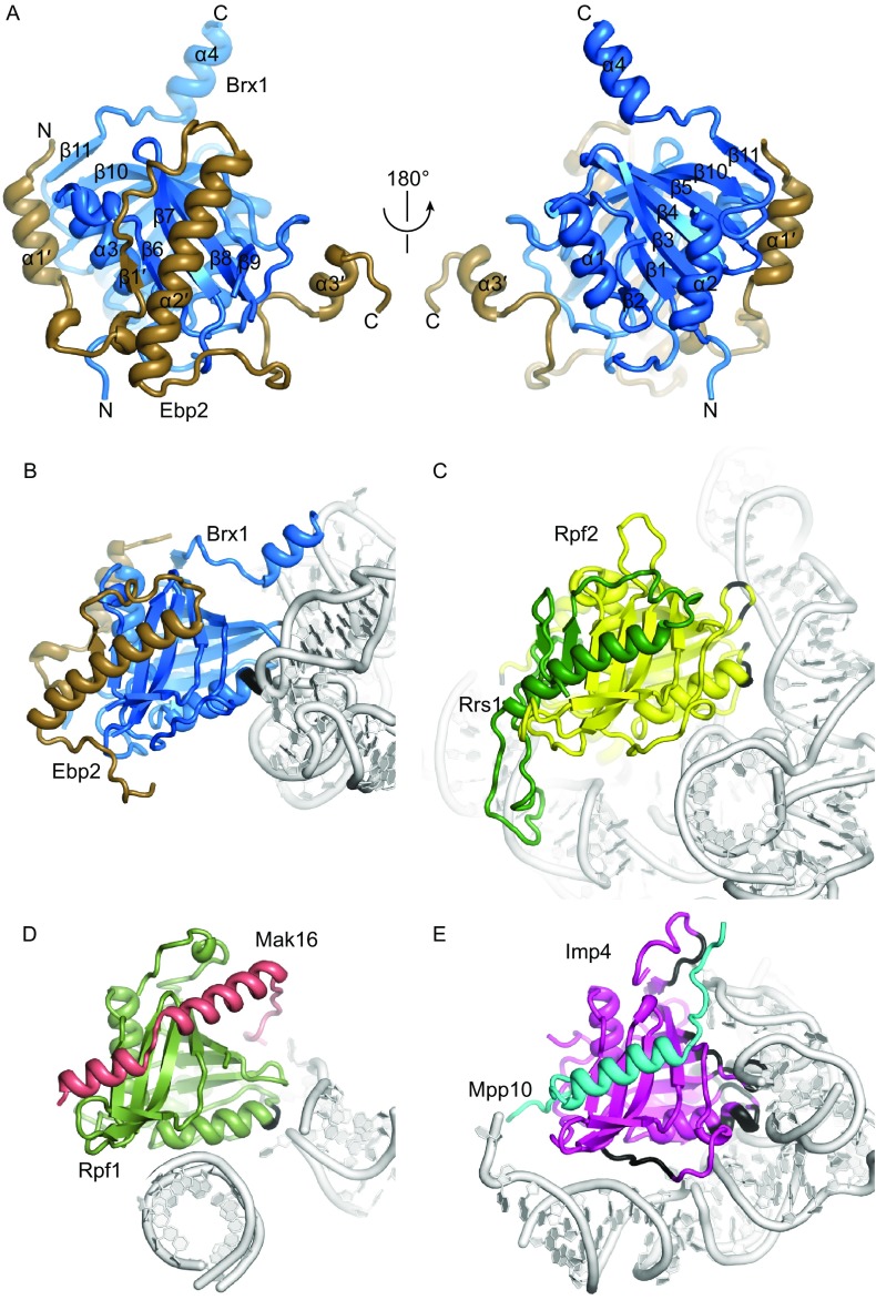 Figure 4