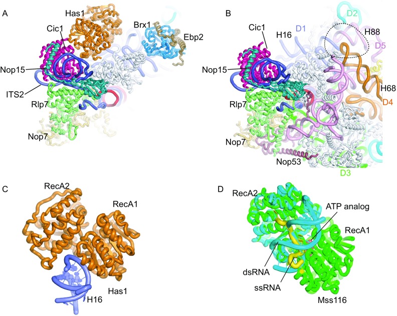 Figure 3